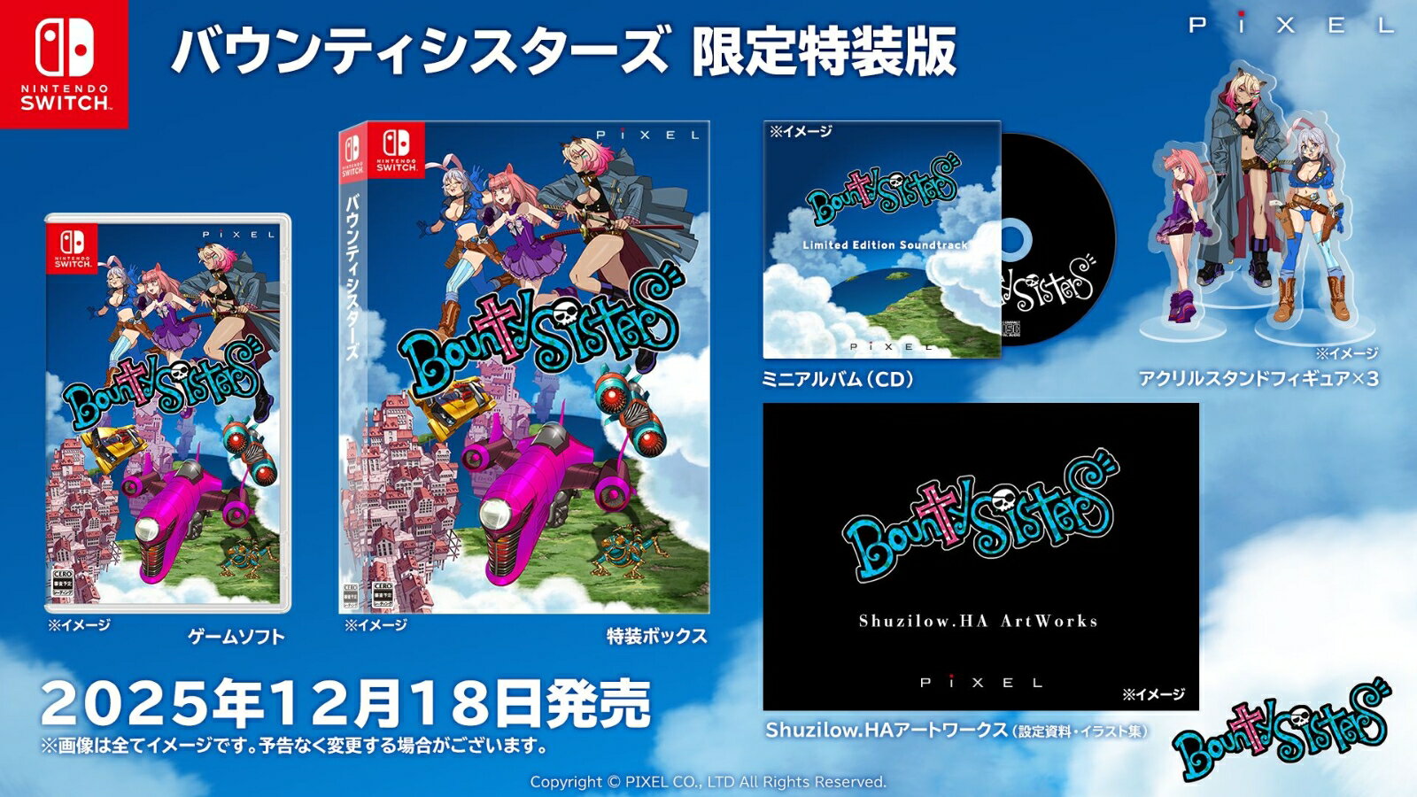 【Nintendo Switch】バウンティシスターズ（限定版） 
